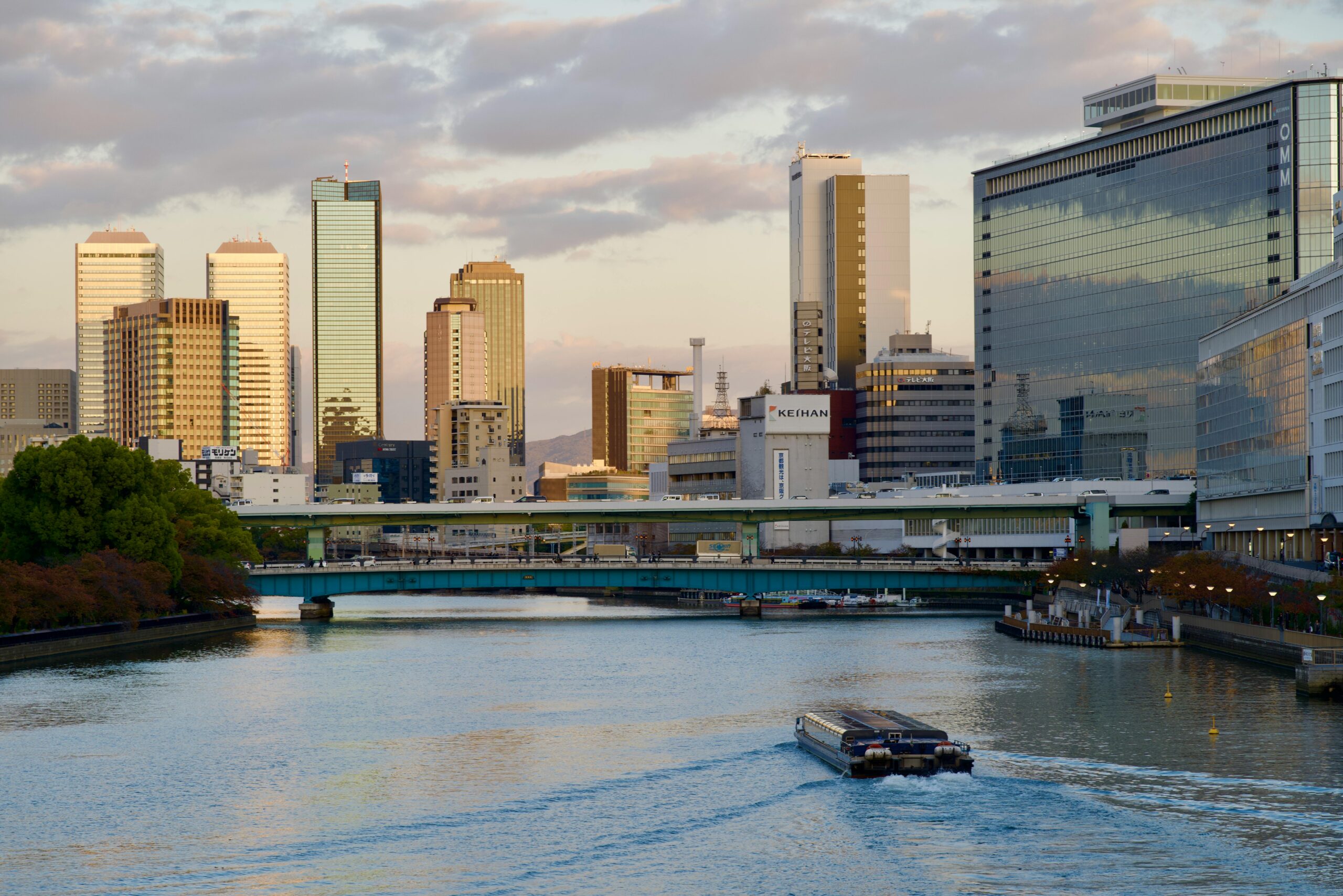Determinants of Corporate Capital Structure and the Emerging Role of Intangibles and Innovation