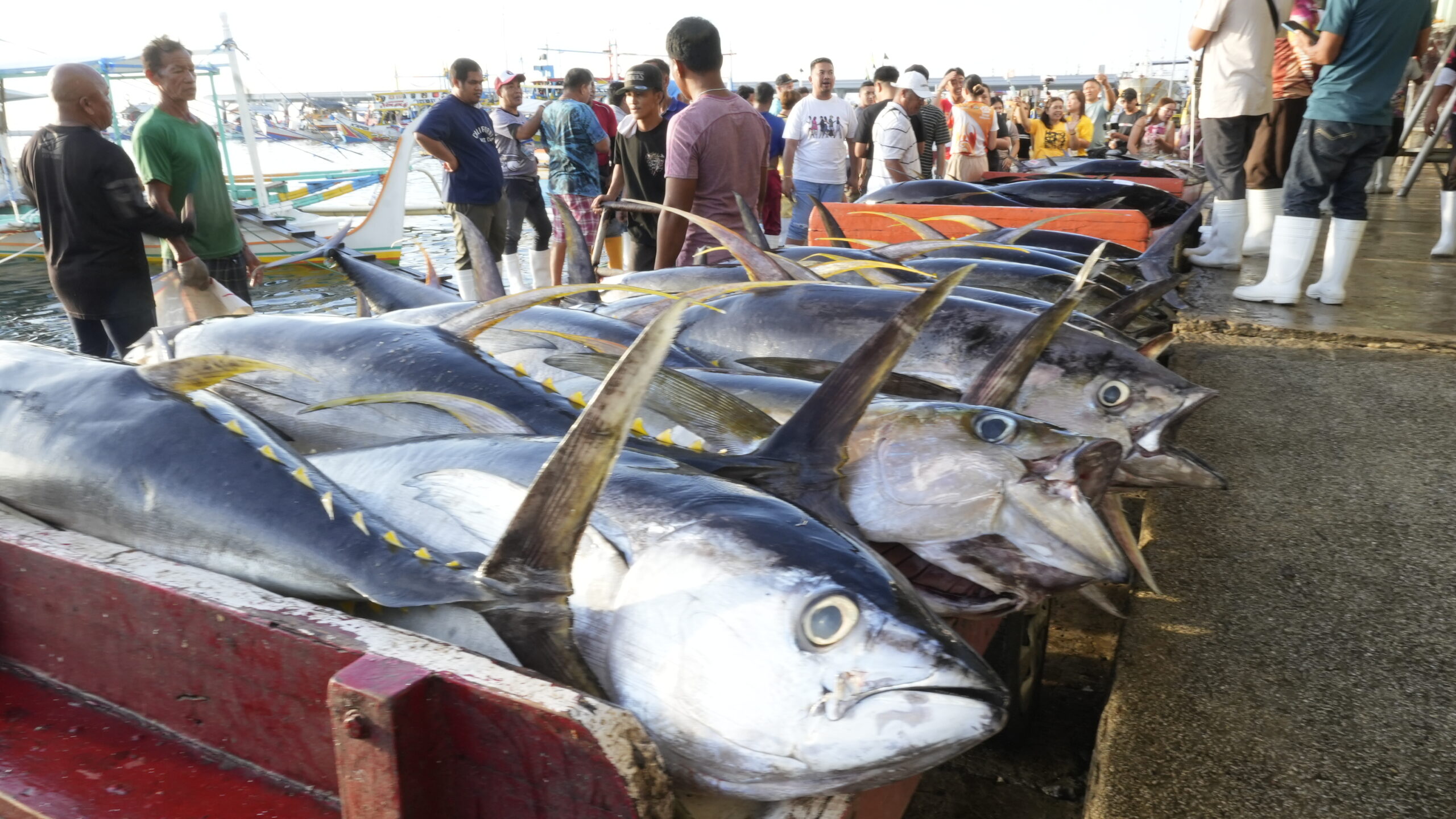 Sustainable Tourism in SOCCSKSARGEN: An Unforgettable Cultural Adventure